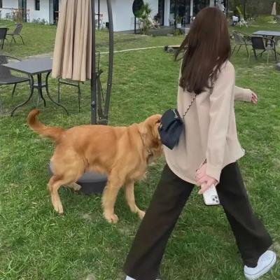 君有云
